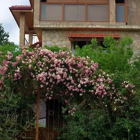 Apartment Koycegiz'de Ki Tas Eviniz